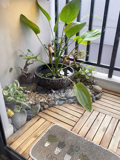 🔥 CHO THUÊ CĂN HỘ 2PN LOVERA VISTA – FULL NỘI THẤT – CHỈ 8.5 TRIỆU 🔥