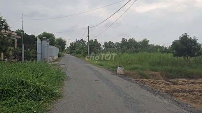Bán nhà vườn Hưng Long Bình Chánh 24x50 sau nở hậu 26 1325m2 có 300 TC