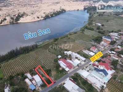 Bán đất nền mặt tiền đường nhựa 716 view hồ Bàu Trắng, Bình Thuận.