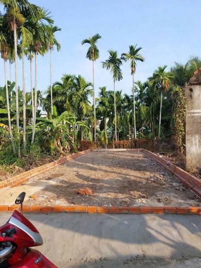 Đất Sổ  Hồng riêng Giá rẻ tại phường Thới An, Quận 12. DT 5x14 mét