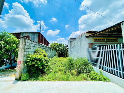 Quá Đẹp Bán Lô Đất 150m2 Thổ Cư Ngay Gần Hẻm Bò Tơ Xuân Đào Giá 739TR