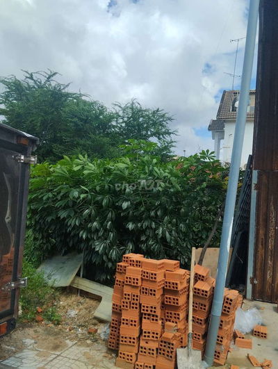 Đất nền phân lô full thổ cư.