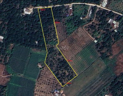 CẦN BÁN ĐẤT CHÍNH CHỦ, 750 triệu/1000m²