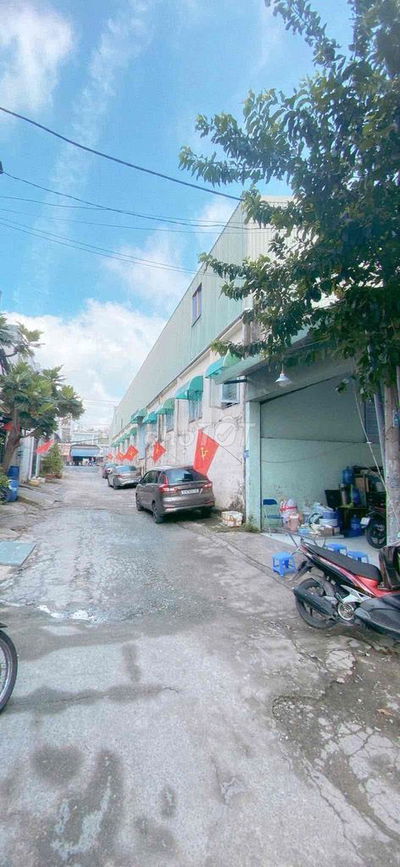 BÁN XƯƠNG 5x24 GIA: 6TY490 TL