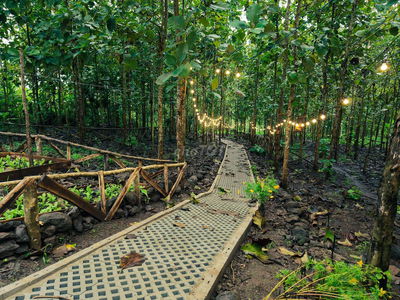 Đất vườn nghỉ dưỡng view hồ Trị An - đường betong - Ngay khu dân cư