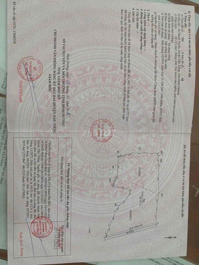 3Ha SKC 50 năm, thanh tuyền. dầu tiếng, giá rẻ nhất bình dương, 45 tỷ