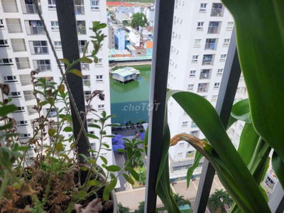 Cần cho thuê căn nhà trống mới 100% nhà mới sơn 65m2, 2P.N