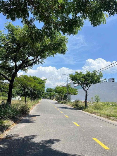 Bán đất View Hồ Bàu Tràm, dt 250m2 đường Võ Duy Dương