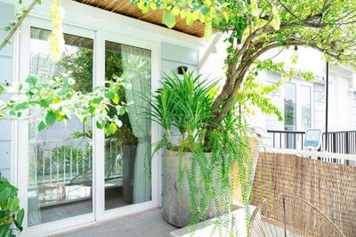 biệt thự đẹp như trong tranh thủ đức hcm hàng hiếm giá rẻ