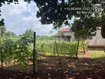 Thanh lý lô đất 2 mặt tiền 1.431m2 tại Hắc Dịch