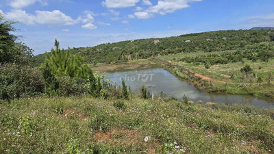 Bán đất nghỉ dưỡng mặt tiền đường view hồ