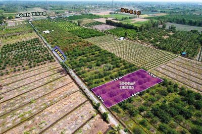 Đất vườn 18x54m ( tách đôi được)  Hàng vịp- Cách kênh xáng 100m.