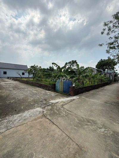 Cần bán đất ở