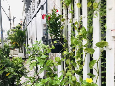Bán nhà ngay chợ Bửu Long gần song ngữ Lạc Hồng