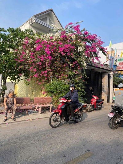 Đất 6x22m Shr ,Mt đg Hà Đặc KD Buôn Bán Sầm Uất ở TMT Q12