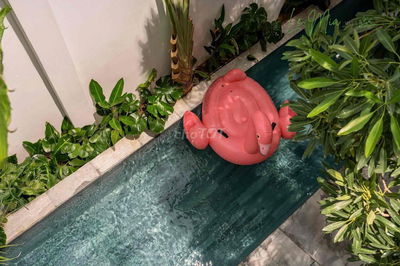 VILLA KHU ĐÔ THỊ FPT - NGŨ HÀNH SƠN - 40 TRIỆU