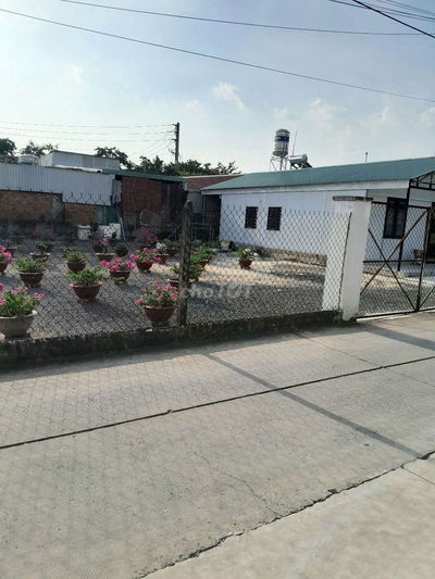 Lô đất 5,25 x 18,50 (CN: 100,6m2) hẻm ôtô 5m gần đường Nguyễn Văn Bứa