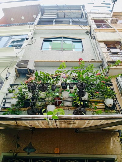 Phòng/nhà nguyên căn cần cho thuê