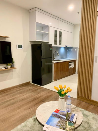 Bán gấp căn studio tòa S302, 30.8m2, 2tỷ535 full đồ xịn, Đông Nam, Vinhomes Smart City