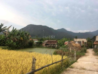 Đất có thổ cư 485m2 2 lô