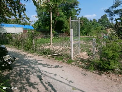 Lô đất sổ hồng đất trồng cây hàng năm khu đinh liệt