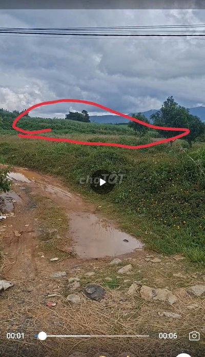 Bán đất rẫy