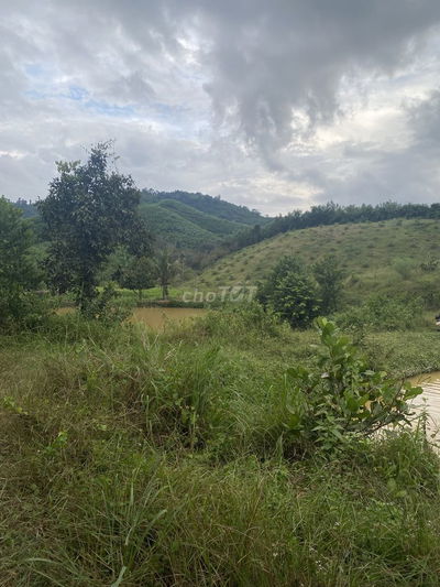 Đất rẻ tại cát tiên lâm đồng