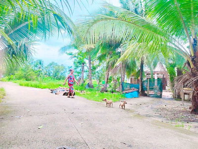 BÁN 2700M2 ĐẤT - 188M2 THỔ CƯ - GIÁ : 3.1TR/M2 !