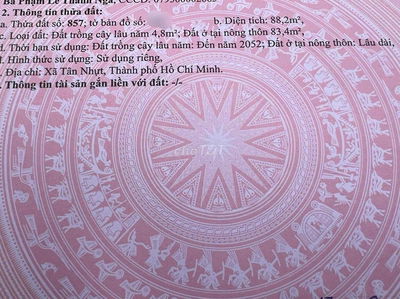 2 lô hẻm thế lữ tân nhựt vừa tách xong cần bán