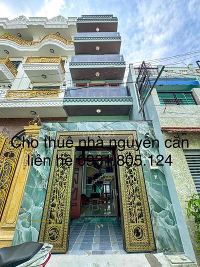 Cho thuê nhà mới tinh nguyên căn, 6 phòng ngủ, full nội thất