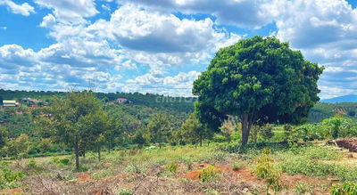 CHỦ GỬI BÁN LÔ ĐẤT CAFE & SẦU RIÊNG
Săn Mây -View Sông- Phong Thuỷ Tốt