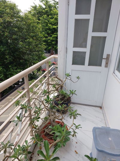 Căn hộ mini 35m2, có Ban công, Đảo Kim Cương   P.Tml Tp Thủ Đức