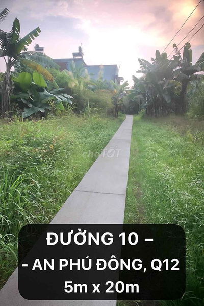 100m2 đất an phú đông Q12
