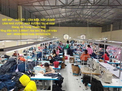 LÔ ĐẤT LÀM NHÀ VƯỜN , NHÀ XƯỞNG TẠI xã Hoạt Giang, Hà Trung, Thanh Hóa