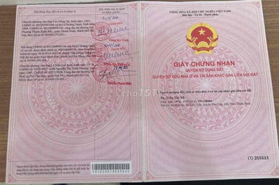 Lô kẹp cống Hoàng thiều hoa sát biển Tân Trà Đà Nẵng