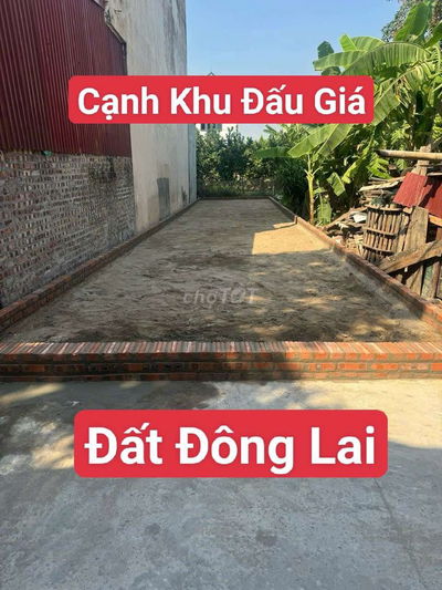 Đất Quang Tiến Đông Lai Ngay gần khu đấu giá đón sóng đường 1500 tỷ