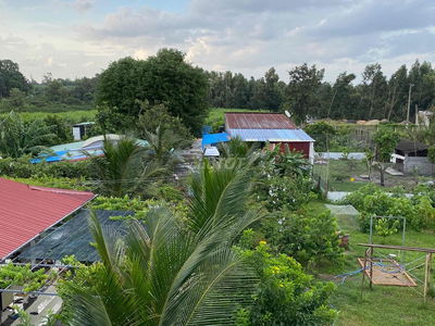 Cho thuê khu đất nhà diện tích lớn tại Phú Mỹ