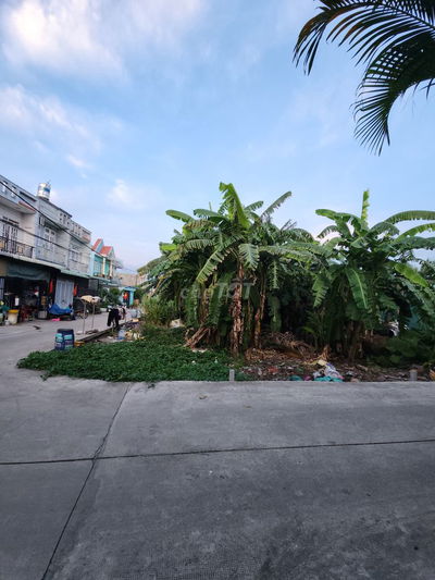 Bán gấp lô đất 137m2 thổ cư, Xuân Thới Thượng, Hóc Môn, giá 3,35 tỷ