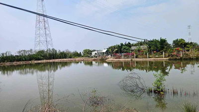 Bán 4,7ha đất trồng cây NN xã Bình Khánh, Cần Giờ giá 4,7 tỷ
