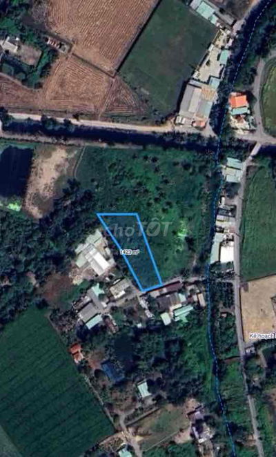 1423m2 đất vườn đường Xe Tải, Bông Văn Dĩa