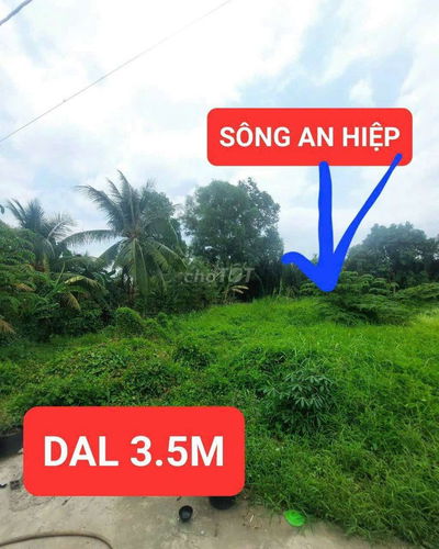 196M ĐẤT NỀN CÁCH KCN AN HIỆP 200M (7X29) CÓ 118M THỔ CƯ