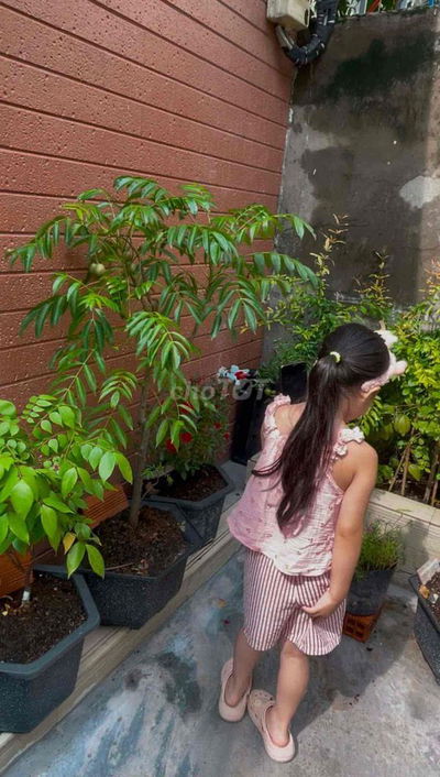 CHO THUÊ PHÒNG TRỌ GIÁ RẺ GIỜ GIẤC TỰ DO QUẬN BÌNH TÂN LIÊN KHU 1-6