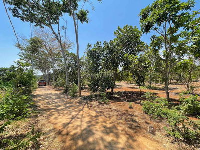 🌿 BÁN ĐẤT XÃ XUÂN BẢO – HUYỆN CẨM MỸ – ĐỒNG NAI 🌿  📍 Vị trí: Xã Xuân B