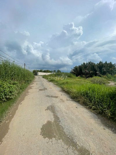 CHO THUÊ 6000M2 ĐẤT MT HẺM 366 PHẠM HỮU LẦU