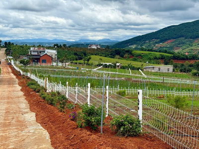 Bán lô đất nghỉ dưỡng view tượng phật gần khu Thác 7 Tầng