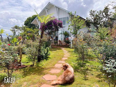 Đi định cư bán lô đất 322m2 giá 589triệu sẵn nhà vườn Phường 11,Đà Lạt