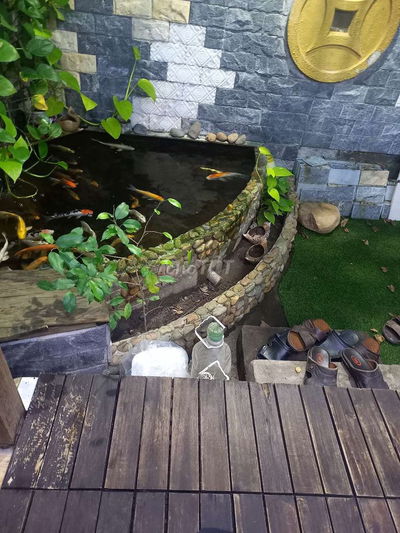 Cho thuê phòng trọ