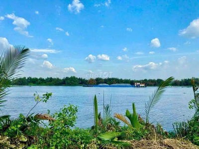 Mô hình nhà vườn View Sông Vàm Cỏ 609m2 xã Tân Chánh rẻ 700tr