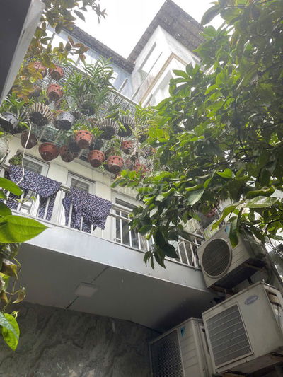 Biệt thự mini sân vườn, 3 tầng 80m2 (10x8), Công viên Làng Hoa,Gò Vấp