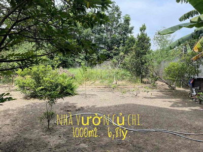Bán nhà vườn mặt tiền Bàu Lách, Phạm Văn Cội, Củ Chi.
